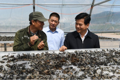 6369999131629525003296182png 6369999131629525003296182png